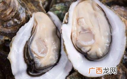 生蚝的别名都有哪些名称 生蚝的别名是牡蛎吗