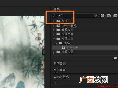 premiere Pro CC 2019pr怎么让画面左右相 pr怎么让画面左右相反