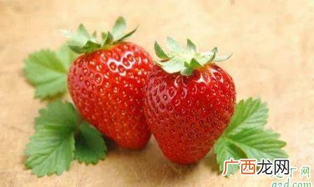 草莓上面的籽可以种吗 草莓籽能种出来吗