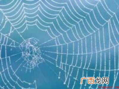 如何防止蜘蛛网再生的具体操作步骤 如何防止蜘蛛网再生