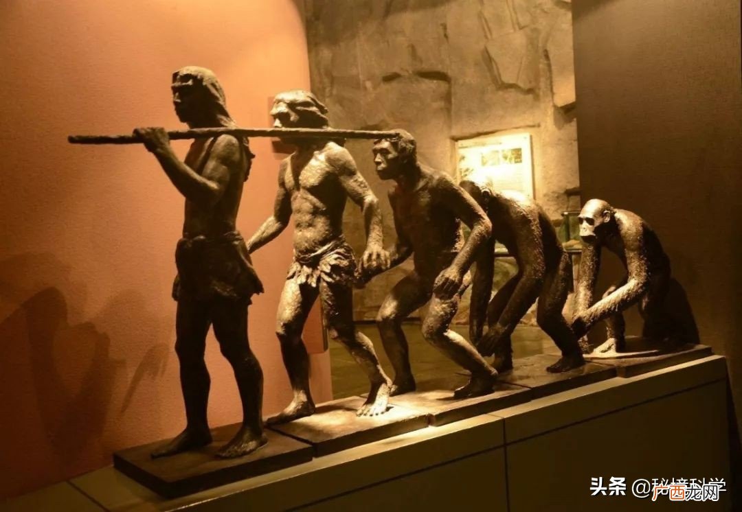 达尔文的进化论有没有被推翻 进化论被推翻三大理由