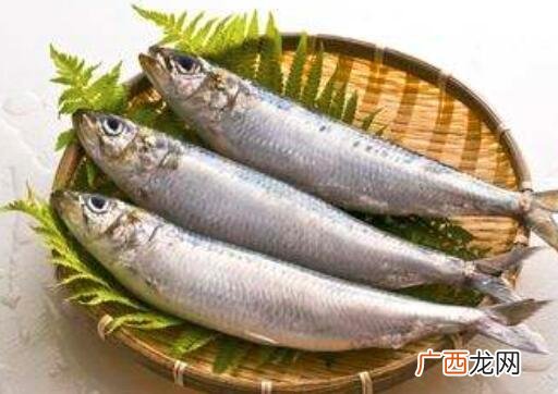 燕鲅鱼和鲅鱼的区别