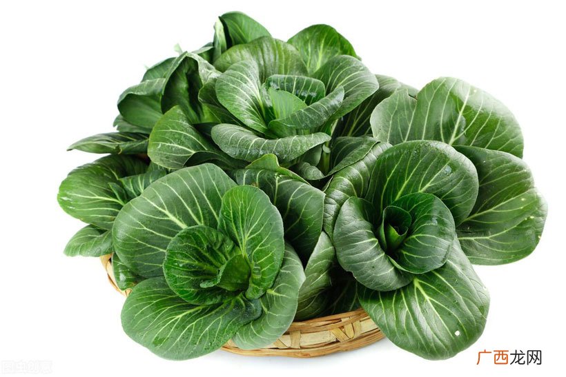 快菜与小白菜有什么区别 快菜是什么菜?怎么吃