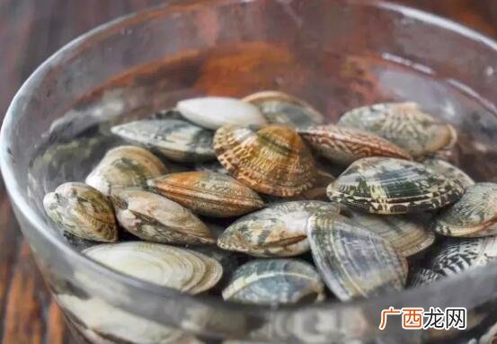 花蛤和蛏子的营养价值区别 花蛤和蛏子的区别
