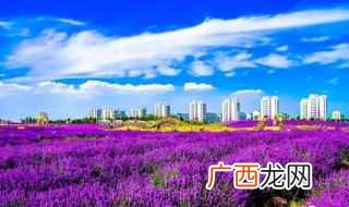 金昌市简介 关于金昌市简介