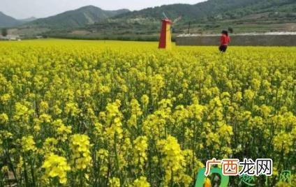 油然而生什么意思 油然而生的意思是啥