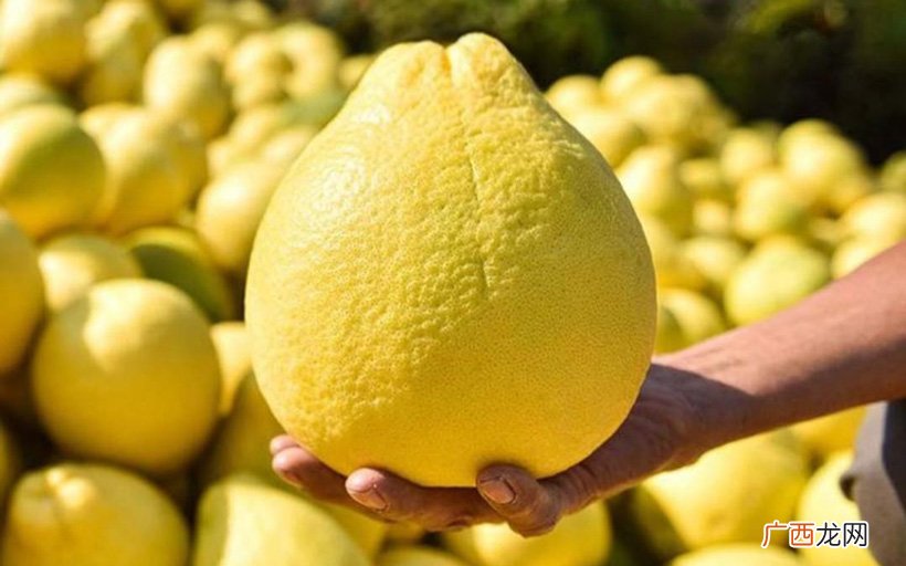 哪里的柚子最出名最好吃 哪里的柚子最好吃
