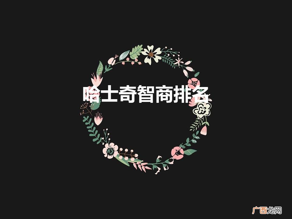 哈士奇在犬类中智商排第几高不高 哈士奇智商排名