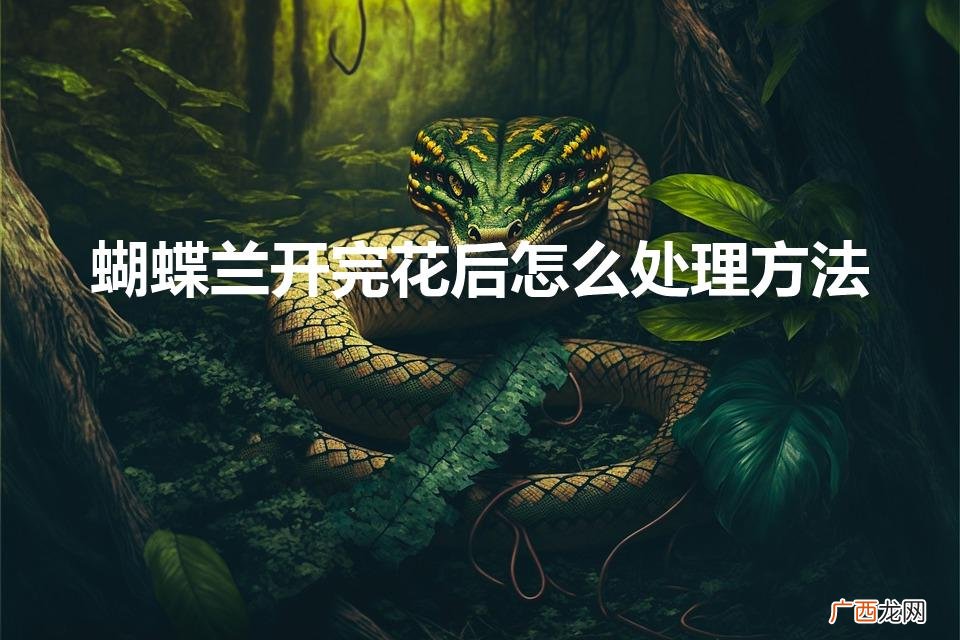 蝴蝶兰开完花后怎么处理方法视频 蝴蝶兰开完花后怎么处理方法