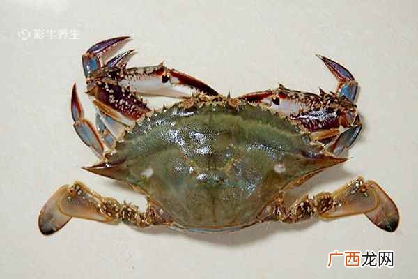 梭子蟹蒸多久最佳时间 怎么做好吃又简单 梭子蟹蒸多久最佳时间