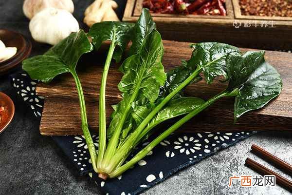 春分多吃这9种食物调理身体