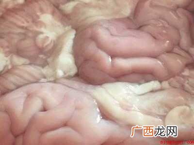 脑花怎么做才好吃的具体操作步骤 脑花怎么做才好吃