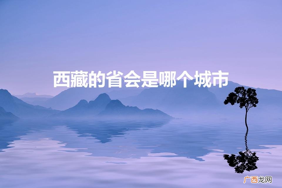 西藏自治区的省会是哪里 西藏的省会是哪个城市