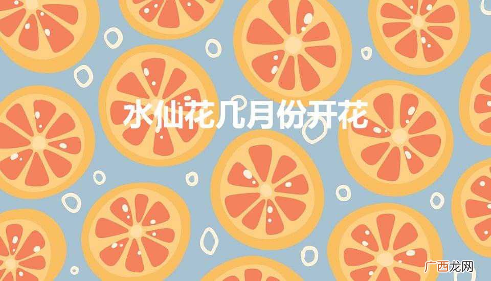 水仙花几月份开花（水仙花怎么养)