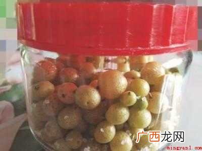 怎样腌制山黄皮果的具体操作步骤 怎样腌制山黄皮果