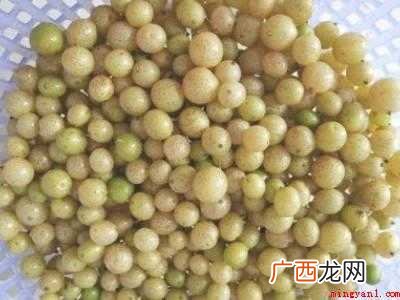 怎样腌制山黄皮果的具体操作步骤 怎样腌制山黄皮果