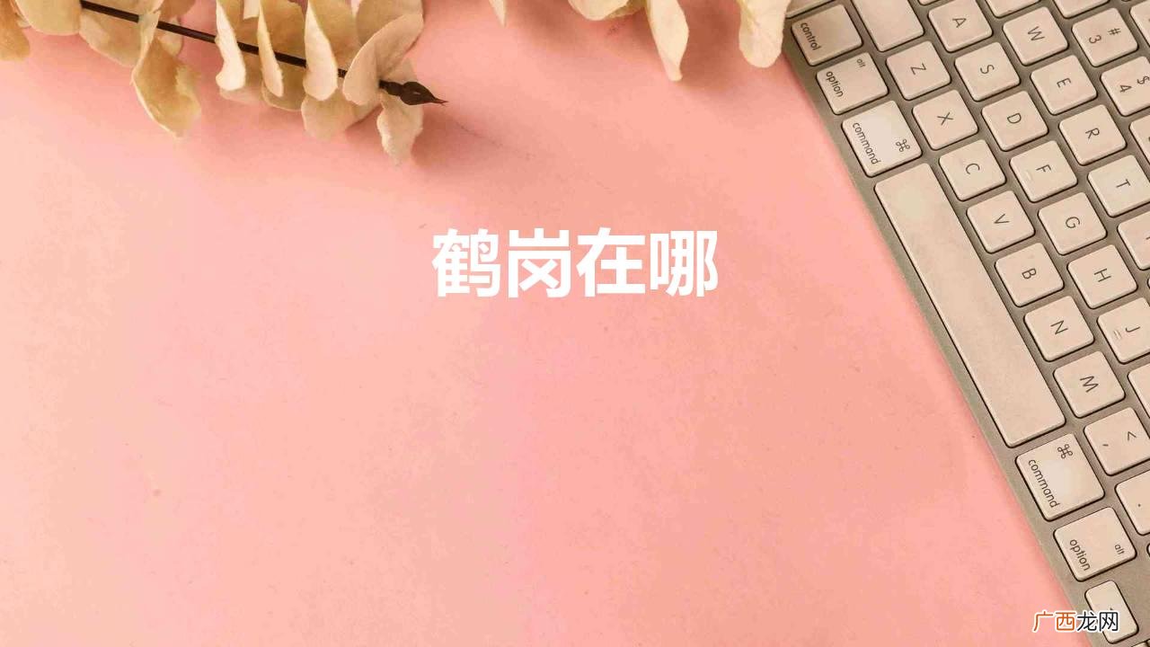黑龙江鹤岗在哪？ 鹤岗在哪