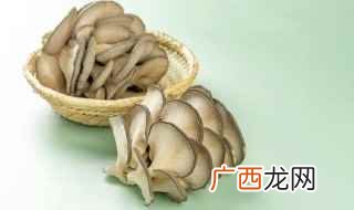 鲜蘑怎么做菜好吃 怎么炒鲜蘑更好吃