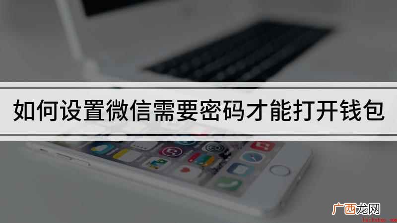 微信钱包如何设置钱包安全锁 如何设置微信需要密码才能打开钱包