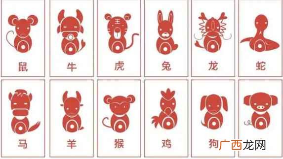 十二生肖包括鼠、牛、虎、兔、龙、蛇、马、羊、猴、鸡、狗、猪 云肖是哪几个生肖呢