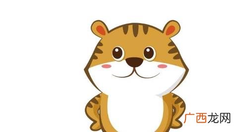 2022年属虎是什么颜色的 2022年生肖虎是什么颜色的虎