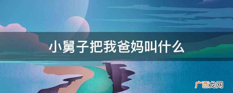 小舅子把我爸妈叫伯父伯母或者叔叔阿姨,比自己的父母年龄大 小舅子把我爸妈叫什么