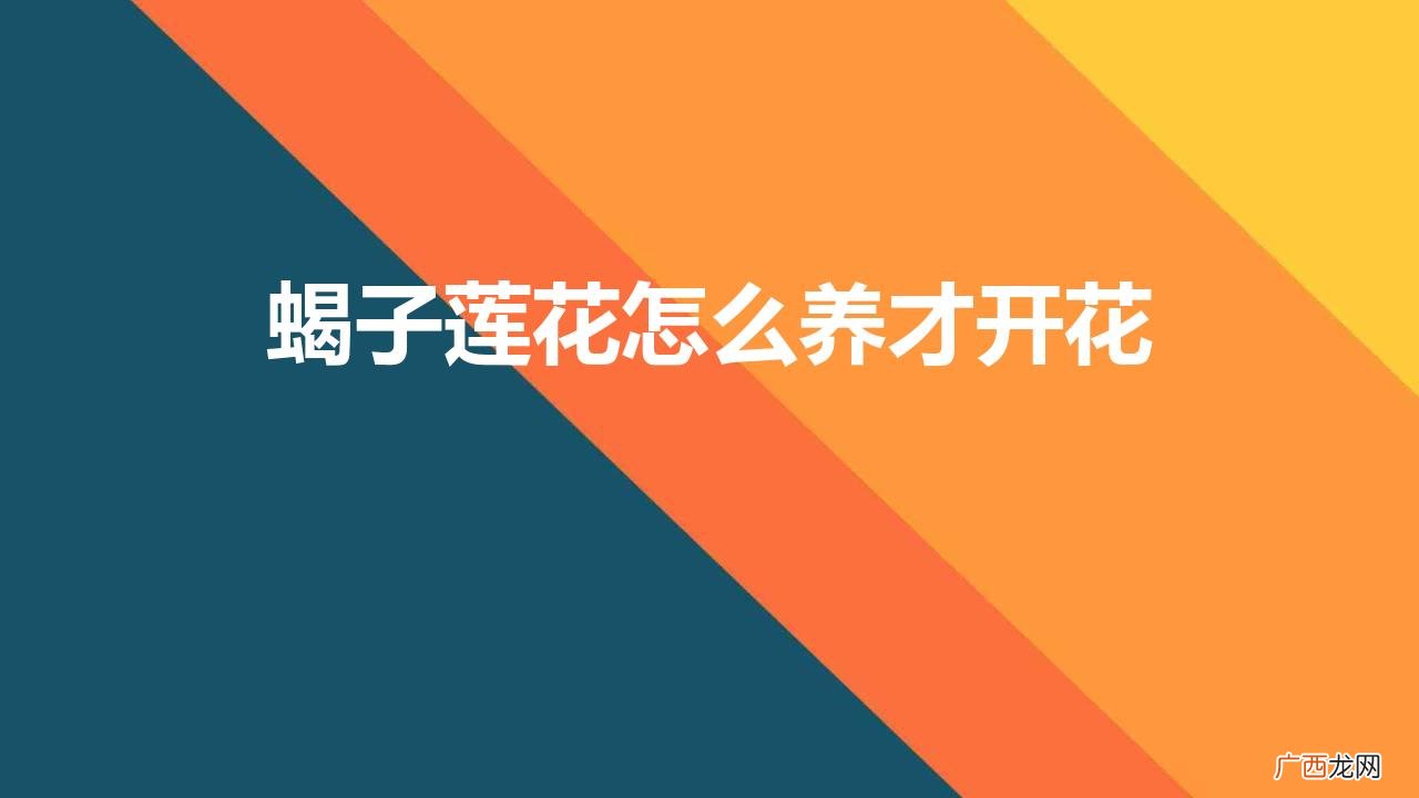 蝎子莲花怎么养才开花