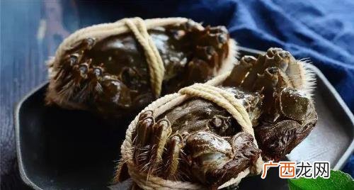 螃蟹吃什么食物可以养活 螃蟹吃什么食物好养活和长大