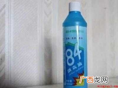 如何杀死跳蚤的具体操作步骤 如何杀死跳蚤