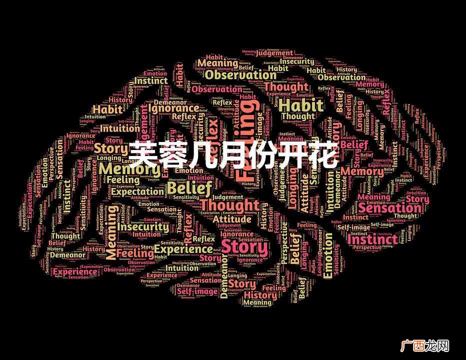 芙蓉几月份开花（芙蓉几月份开花结果)