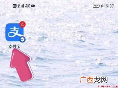 演示机型:Iphone 12 支付宝自己收款账号在哪里