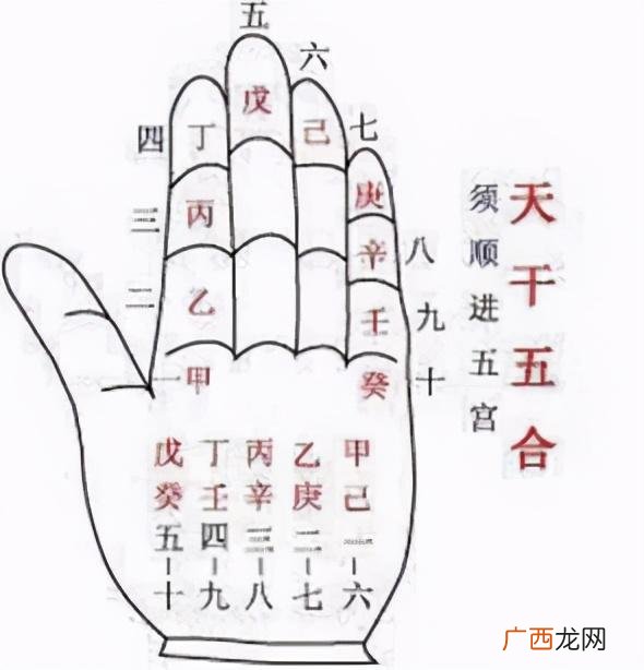掐指一算天干地支小知识 十二天干和十二地支是什么