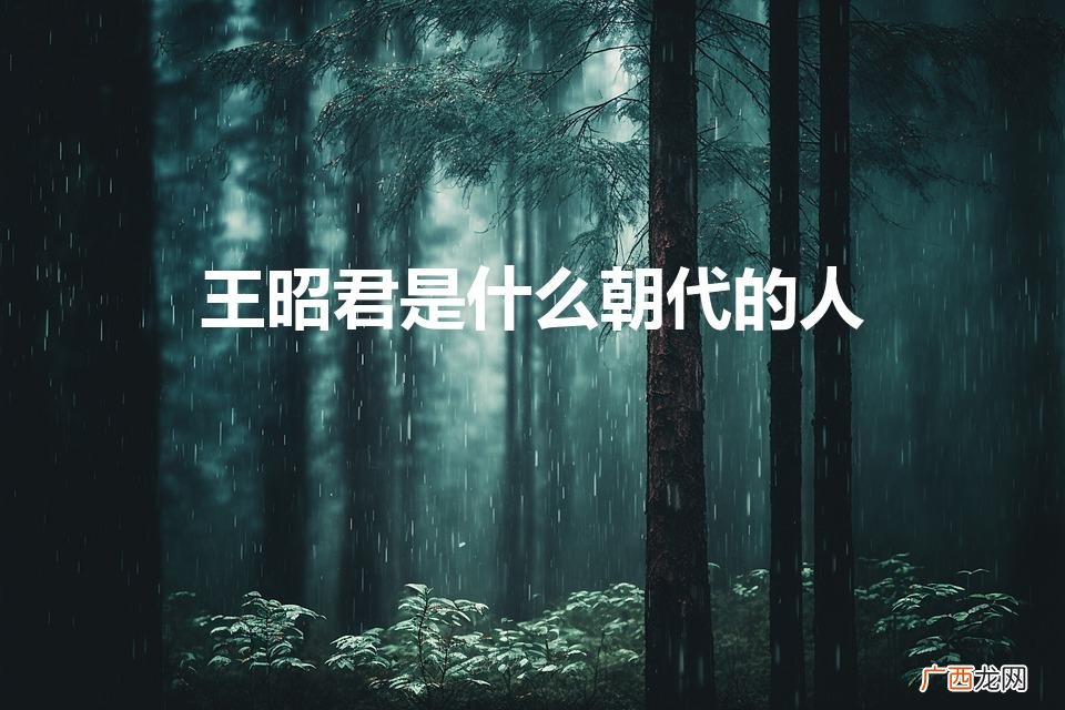 王昭君是什么朝代的人（项羽是什么朝代的人)