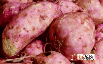 红薯表面长霉了还可以吃吗有毒吗 红薯表面长霉了还可以吃吗