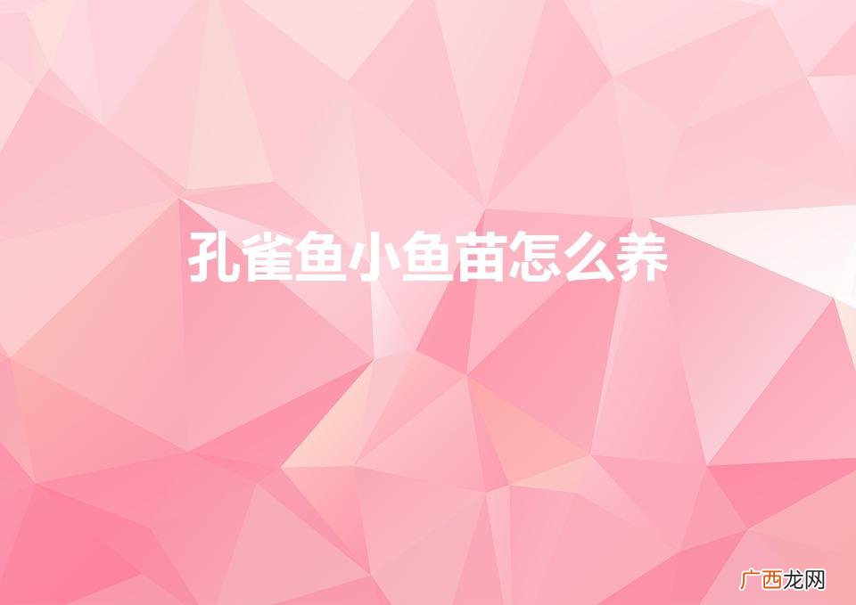 孔雀鱼小鱼苗怎么养 啊 孔雀鱼小鱼苗怎么养