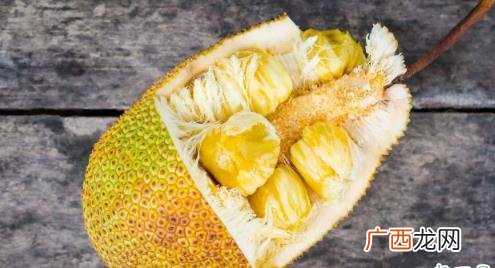 菠萝蜜大的好吃还是小的好吃 菠萝蜜分大小吗
