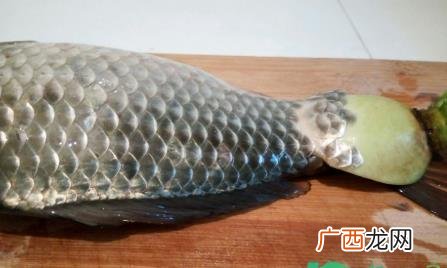 家庭如何快速刮鱼鳞 如何用家里的东西刮鱼鳞