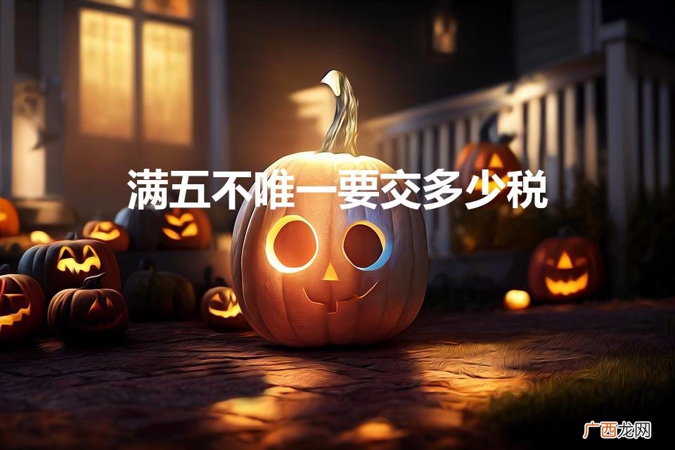 满五不唯一要交多少税费 满五不唯一要交多少税