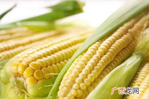 泡玉米用老玉米还是嫩玉米 有什么方法能把干玉米变成嫩玉米