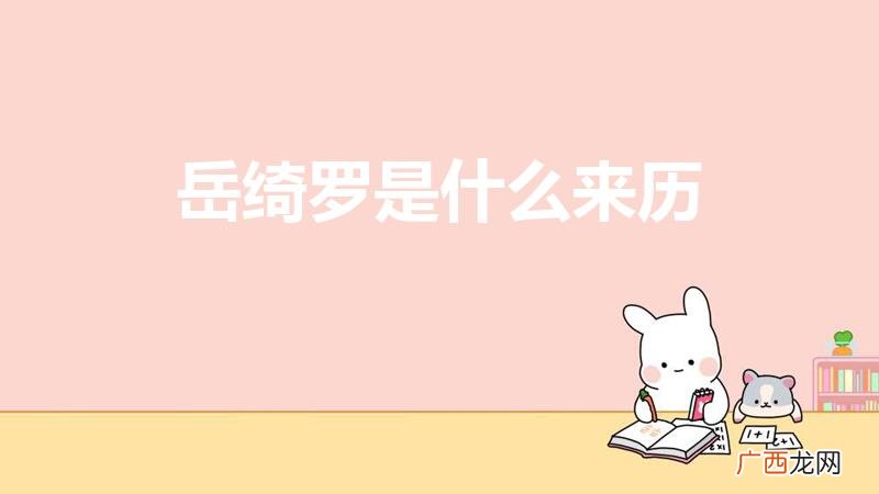 无心法师3岳绮罗来历 岳绮罗是什么来历