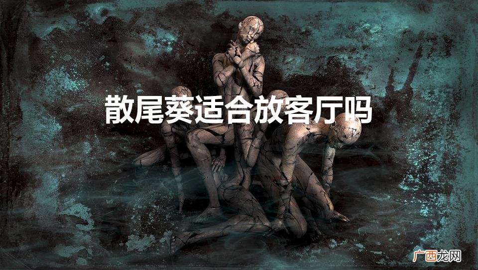 散尾葵适合放客厅吗（散尾葵的寓意与风水)