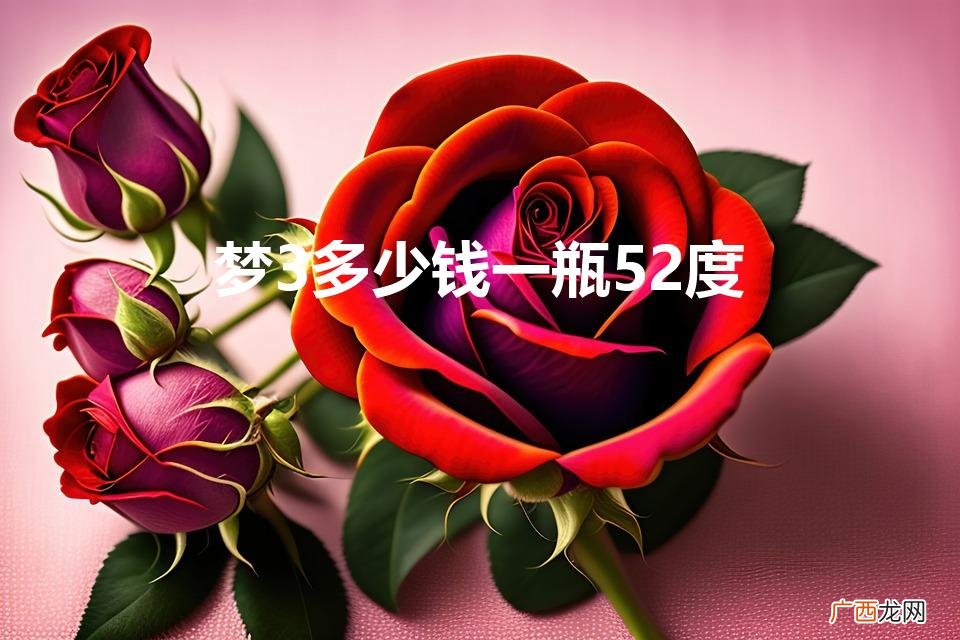 梦3多少钱一瓶52度550毫升 梦3多少钱一瓶52度