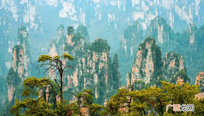 张家界武陵源风景名胜区被列入中国首批国家5A级旅游景区 张家界在哪个城市哪个省份