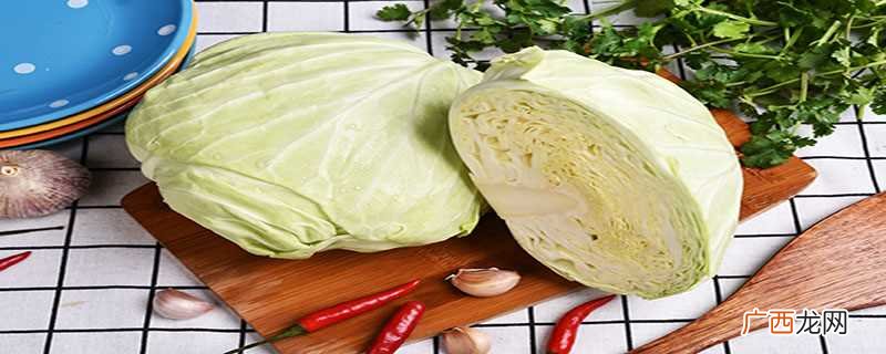包菜又名叫什么菜 包菜是属于什么菜