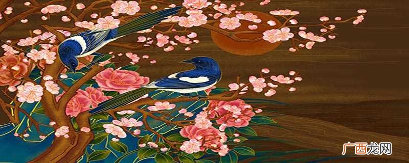 喜鹊是益鸟还是害鸟呀 喜鹊是益鸟还是害鸟