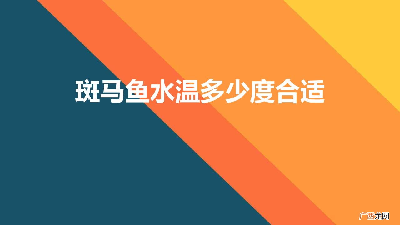 斑马鱼水温要求 斑马鱼水温多少度合适