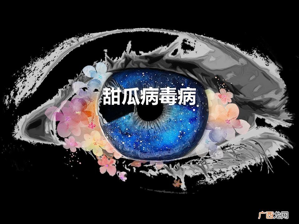 甜瓜病毒病（南瓜病毒病)