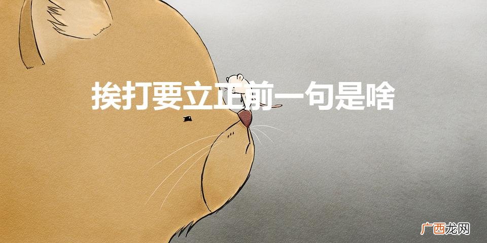 挨打要立正前一句是啥（挨打要立正的意思)
