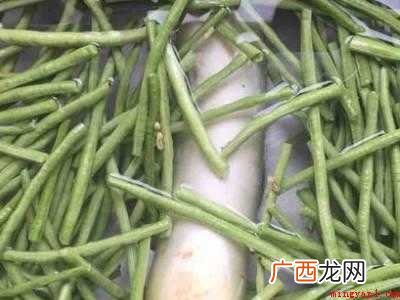 夏天豆角多怎么保存的具体操作步骤 夏天豆角多怎么保存