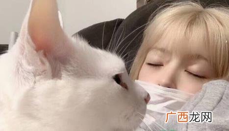 如何和喜欢养猫的女孩子一起相处的小技巧 喜欢养猫的女人好追吗